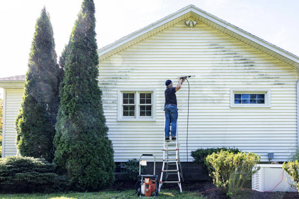 Best Sidewalk and Walkway Cleaning  in Knox, PA